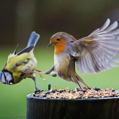 ���� 38: ��������� � ������. ������� 