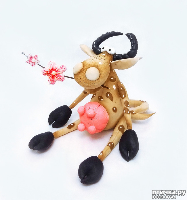 ���� 23: ��� �������, �� �� �������, � �����������.