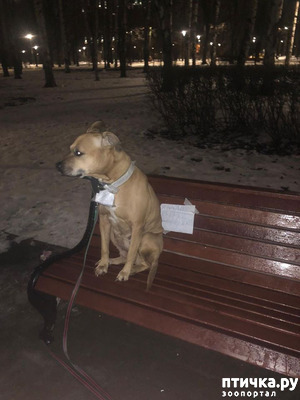 ����: ��������� �������� � ��������.