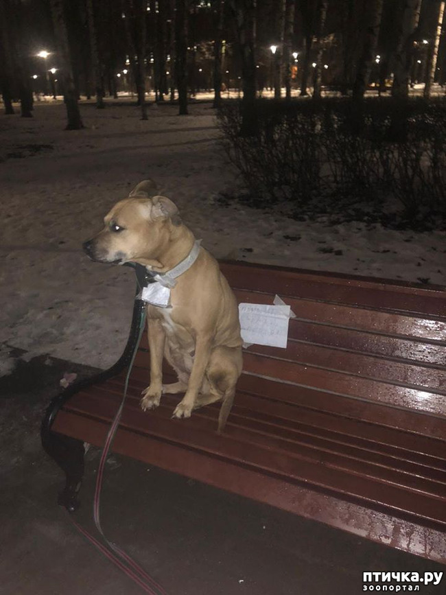 ���� 1: ��������� �������� � ��������.