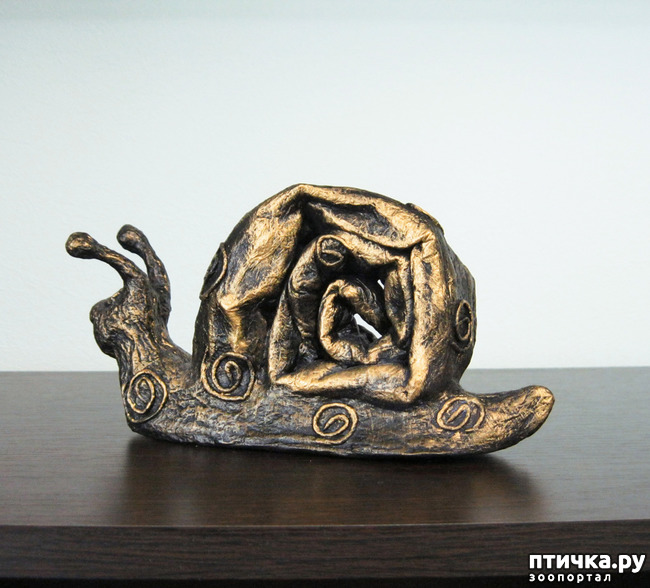 ���� 28: ��� �������, �� �� �������, � �����������.