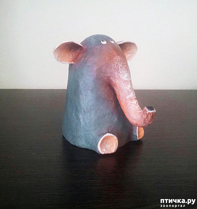 ���� 29: ��� �������, �� �� �������, � �����������.