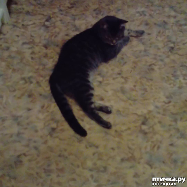 ���� 2: ��� �������� � ��� �����