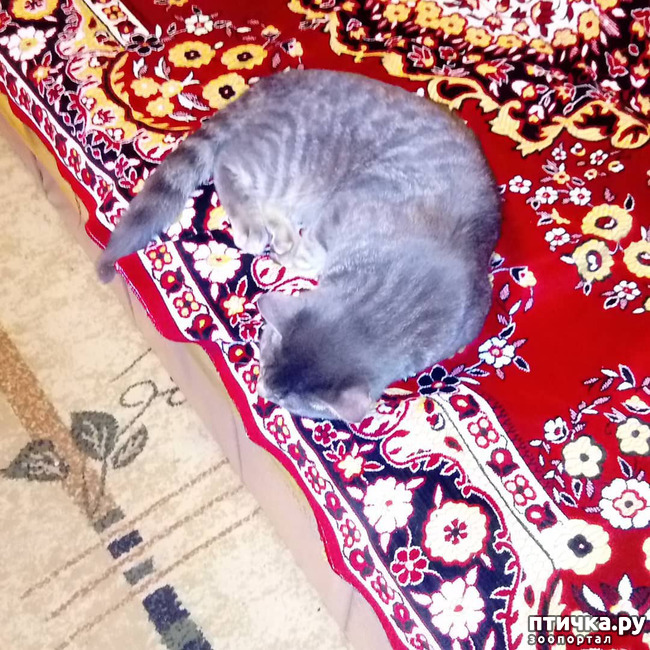 ���� 1: ��� �������� � ��� �����