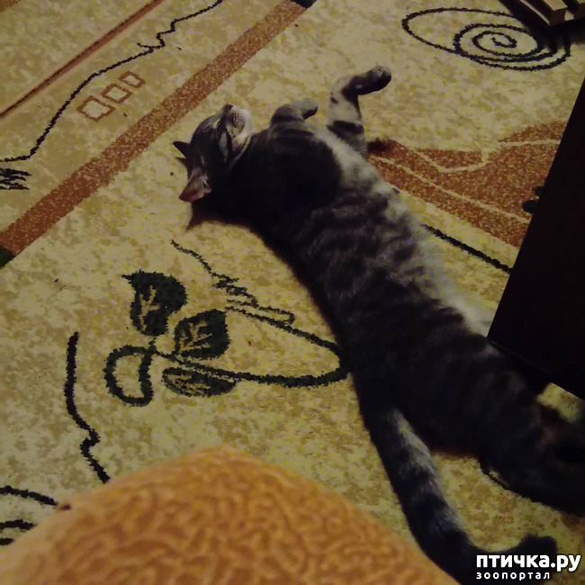 ���� 4: ��� �������� � ��� �����