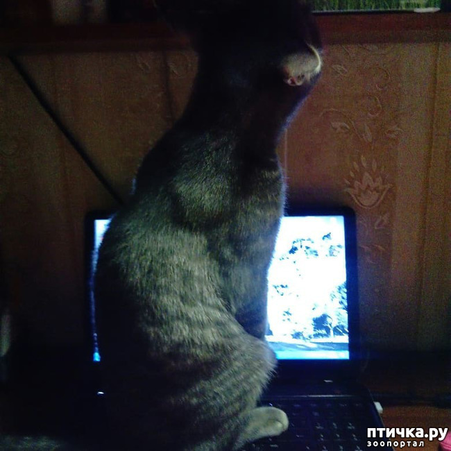 ���� 5: ��� �������� � ��� �����