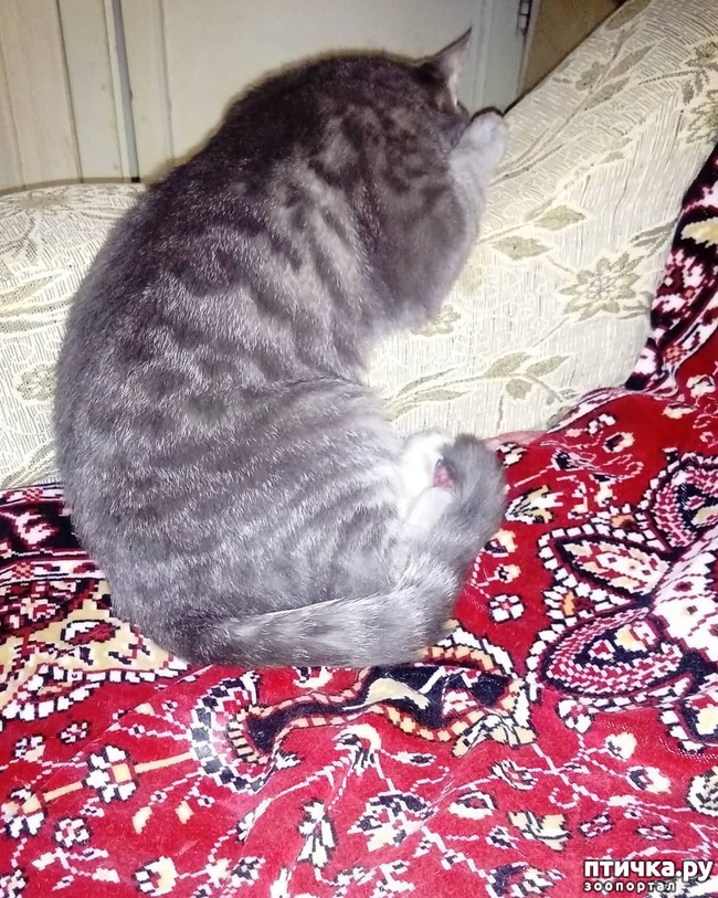 ���� 3: ��� �������� � ��� �����