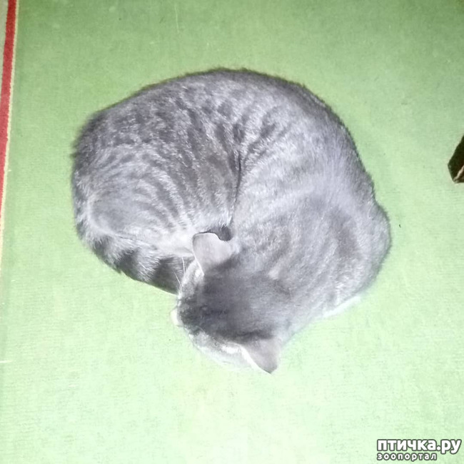 ���� 6: ��� �������� � ��� �����