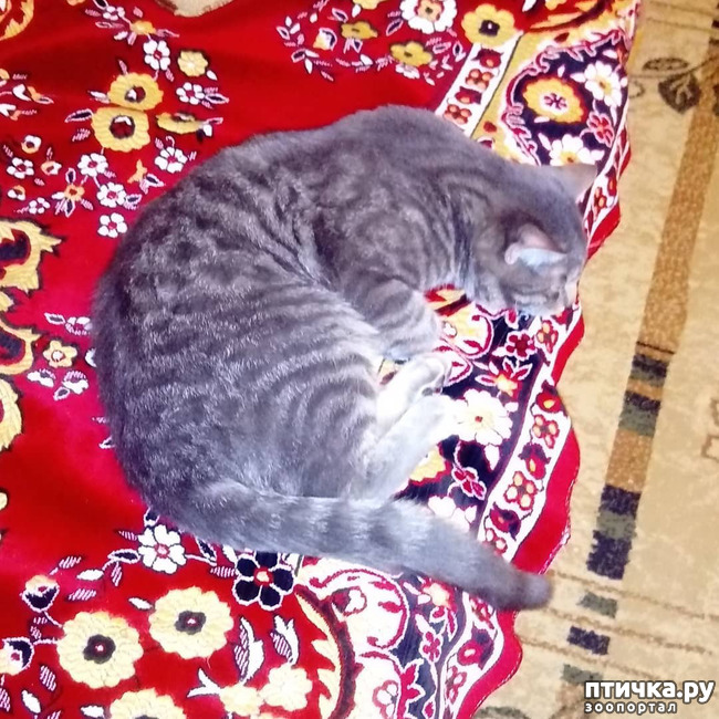 ���� 7: ��� �������� � ��� �����