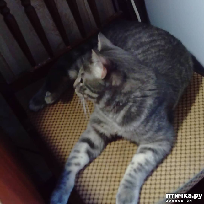 ���� 8: ��� �������� � ��� �����