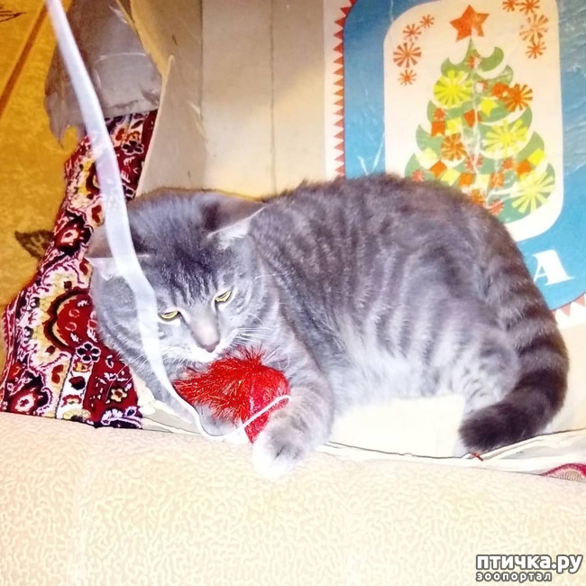 ���� 9: ��� �������� � ��� �����