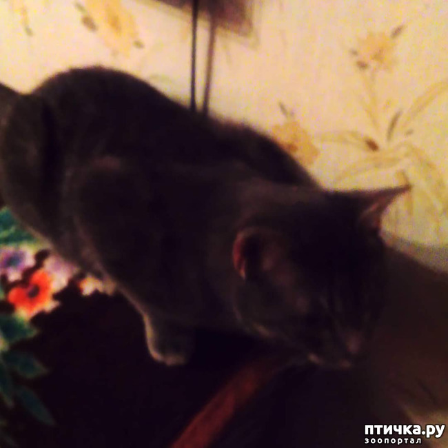 ���� 10: ��� �������� � ��� �����