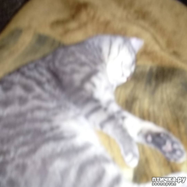 ���� 11: ��� �������� � ��� �����