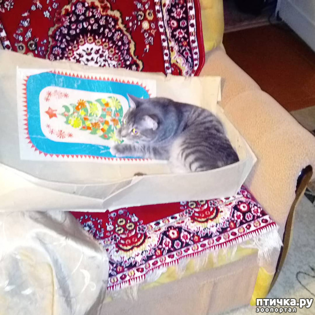 ���� 12: ��� �������� � ��� �����