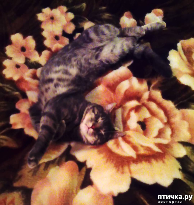 ���� 13: ��� �������� � ��� �����