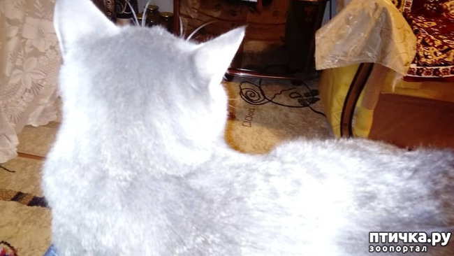 ���� 15: ��� �������� � ��� �����