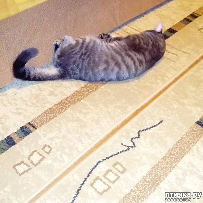 ���� 14: ��� �������� � ��� �����