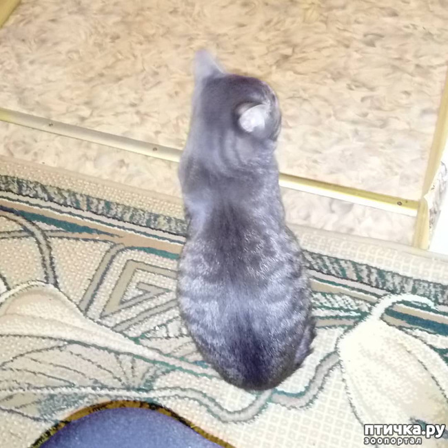 ���� 16: ��� �������� � ��� �����