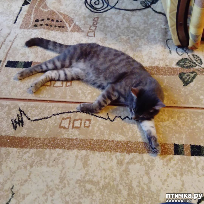 ���� 17: ��� �������� � ��� �����