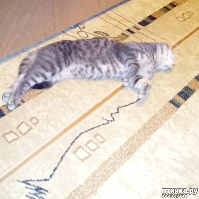 ���� 18: ��� �������� � ��� �����