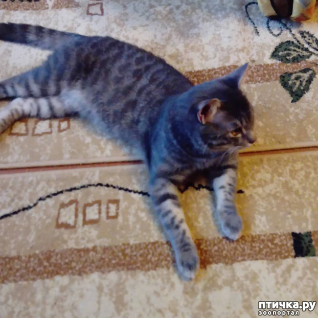 ���� 19: ��� �������� � ��� �����