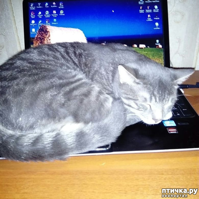 ���� 20: ��� �������� � ��� �����