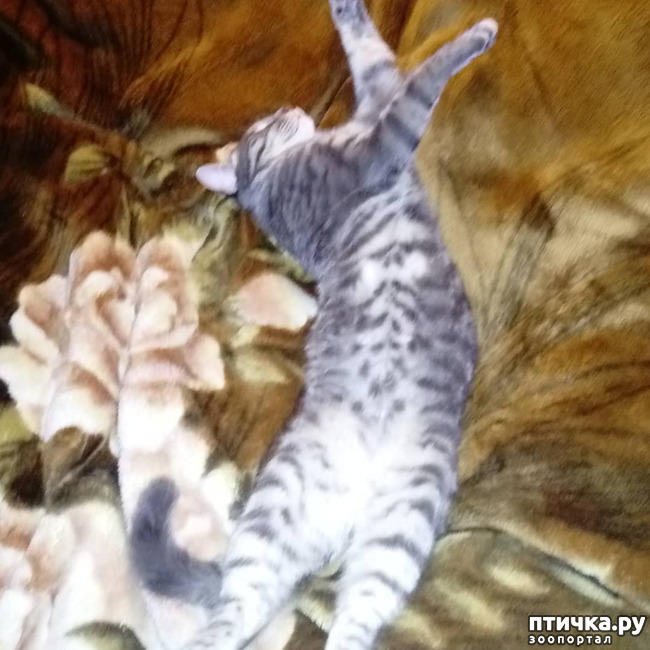 ���� 21: ��� �������� � ��� �����