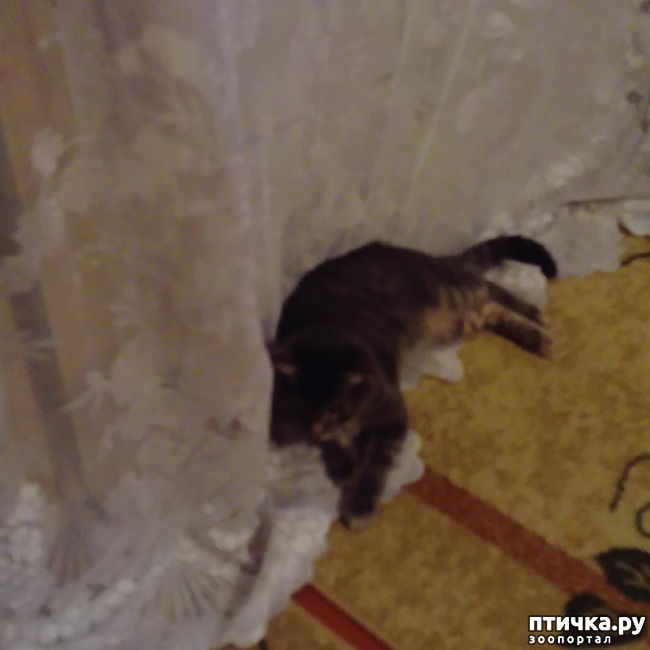 ���� 22: ��� �������� � ��� �����