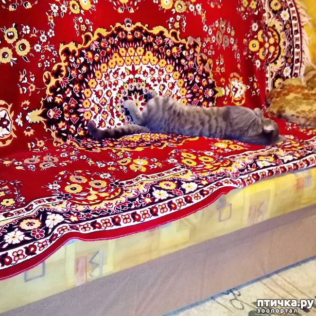 ���� 24: ��� �������� � ��� �����