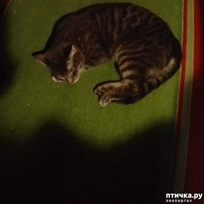 ���� 23: ��� �������� � ��� �����