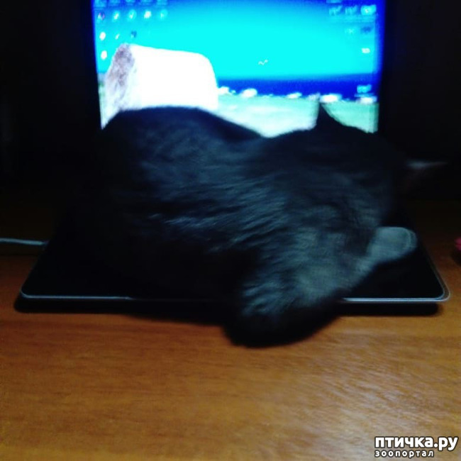 ���� 26: ��� �������� � ��� �����