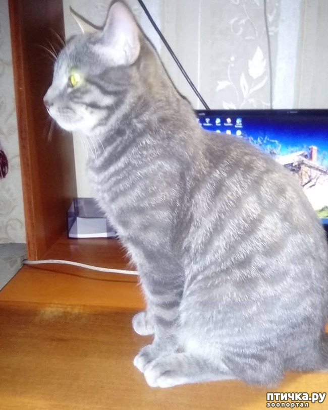 ���� 25: ��� �������� � ��� �����