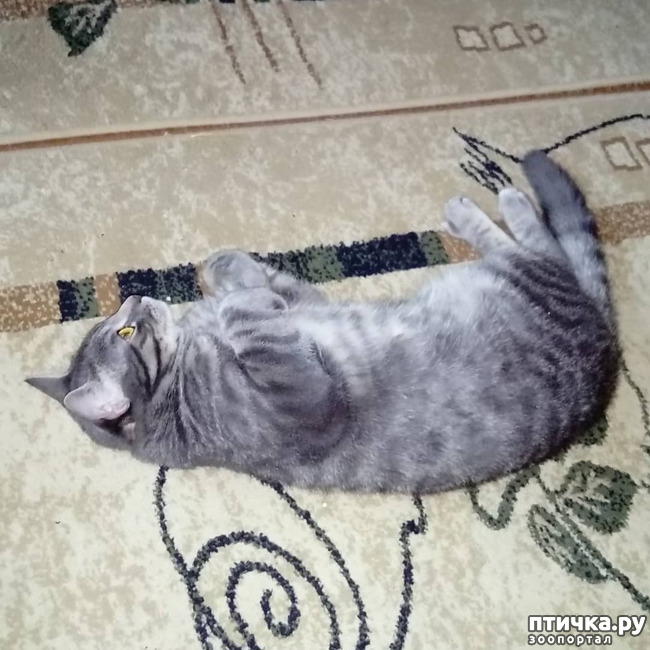 ���� 27: ��� �������� � ��� �����