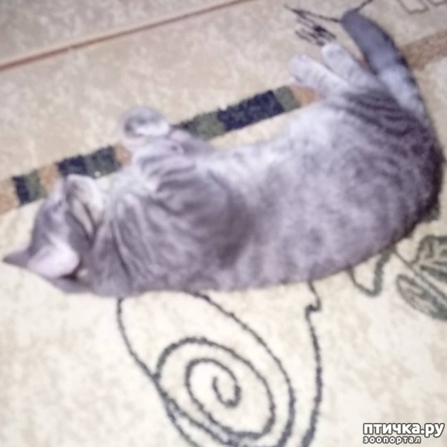 ���� 28: ��� �������� � ��� �����