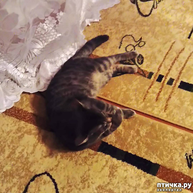 ���� 29: ��� �������� � ��� �����