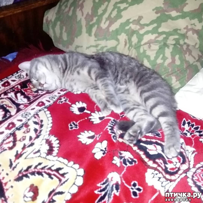 ���� 30: ��� �������� � ��� �����