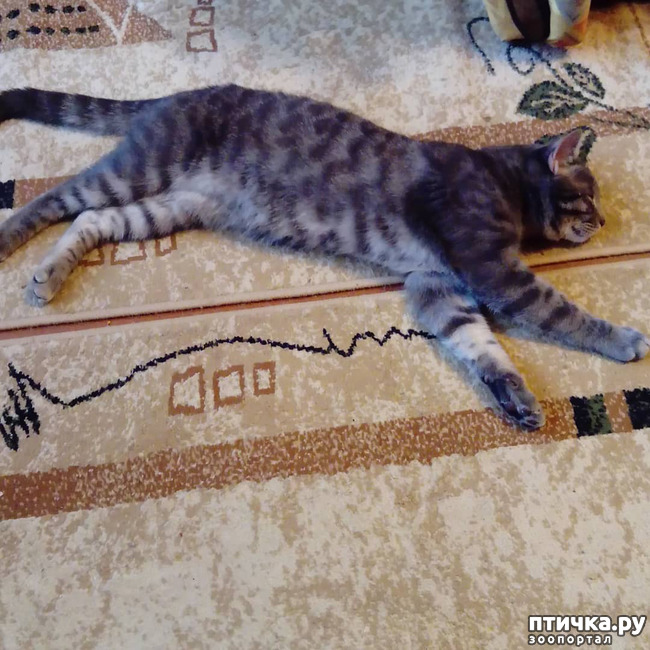 ���� 31: ��� �������� � ��� �����