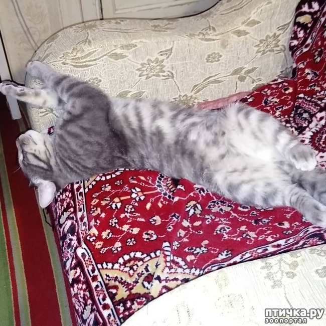 ���� 32: ��� �������� � ��� �����