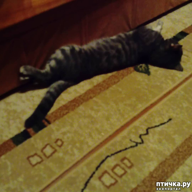 ���� 33: ��� �������� � ��� �����