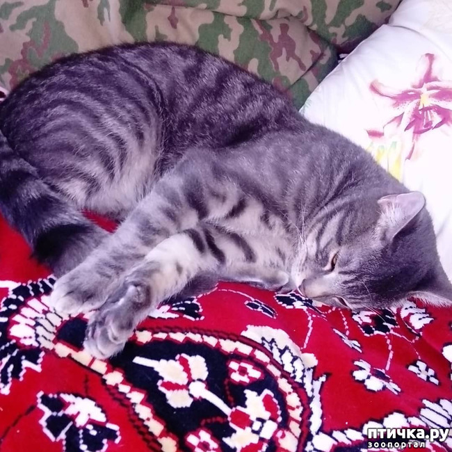 ���� 34: ��� �������� � ��� �����