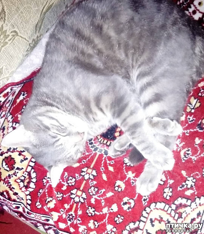 ���� 35: ��� �������� � ��� �����