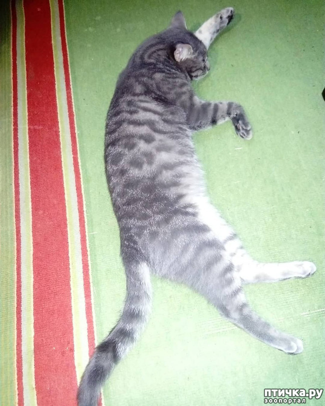 ���� 36: ��� �������� � ��� �����