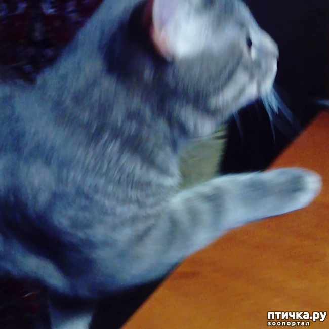 ���� 37: ��� �������� � ��� �����