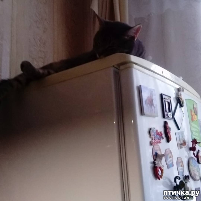 ���� 38: ��� �������� � ��� �����