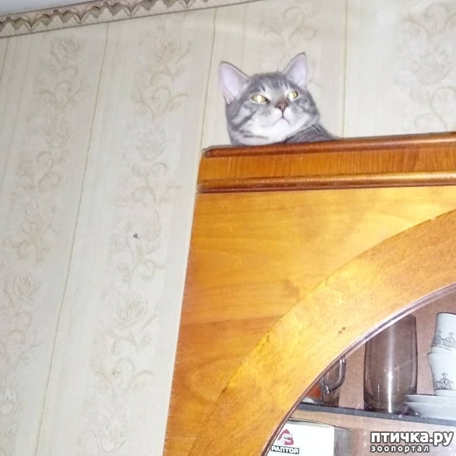 ���� 40: ��� �������� � ��� �����