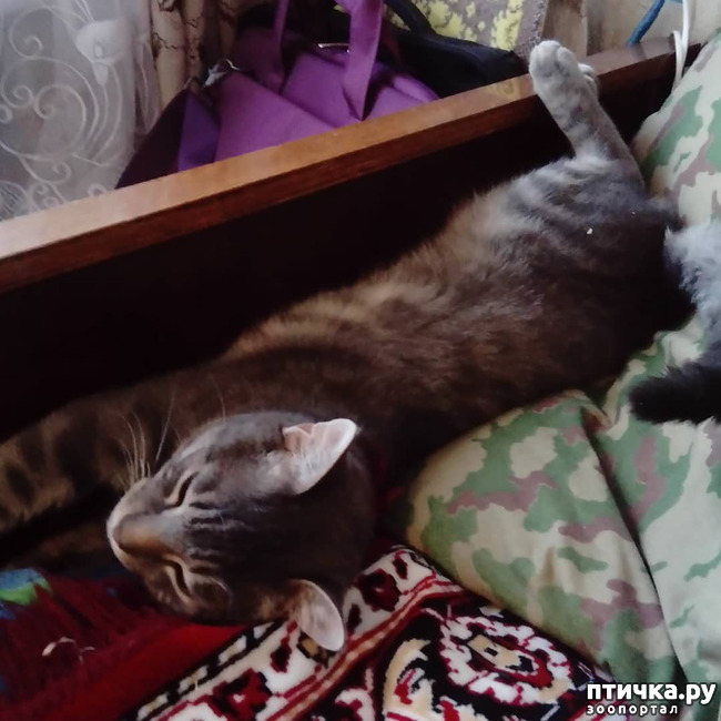 ���� 39: ��� �������� � ��� �����