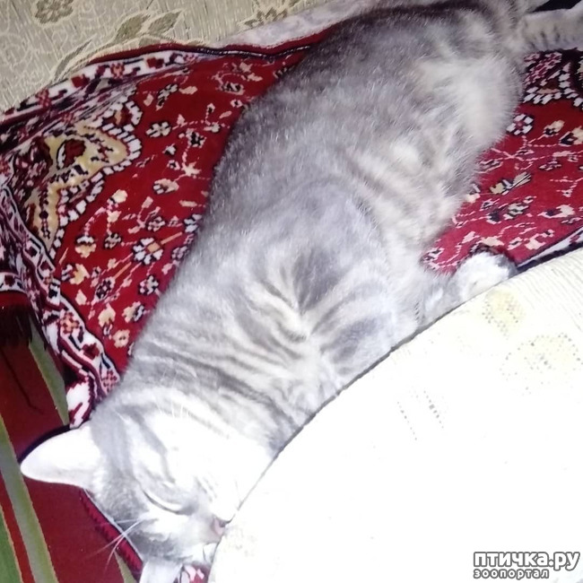 ���� 41: ��� �������� � ��� �����