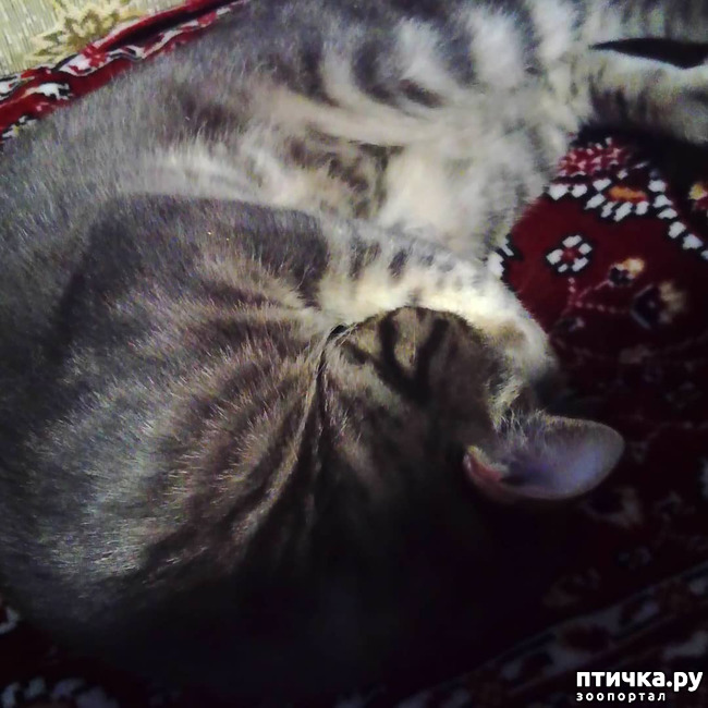 ���� 44: ��� �������� � ��� �����