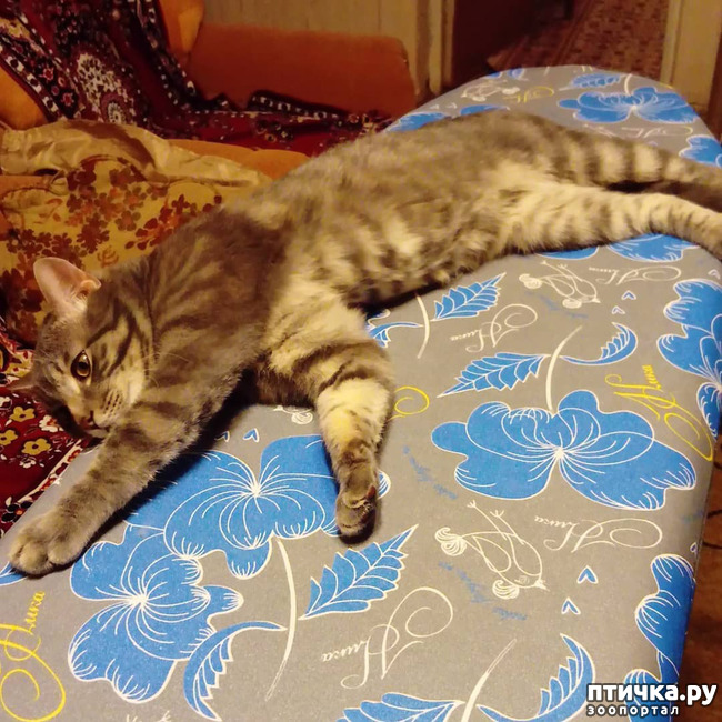 ���� 46: ��� �������� � ��� �����