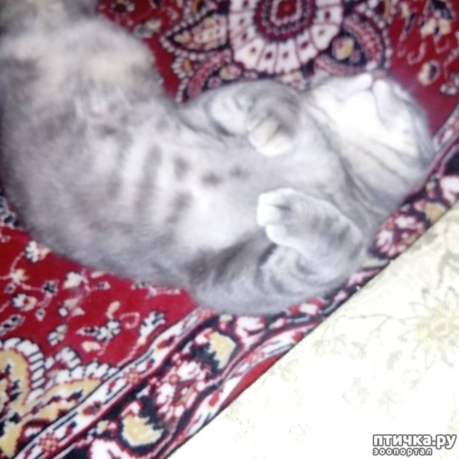 ���� 48: ��� �������� � ��� �����